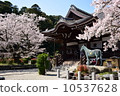 Tachibanaji 10537628