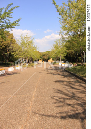酒井市大泉綠色公園 酒井市大泉綠色公園 10537675