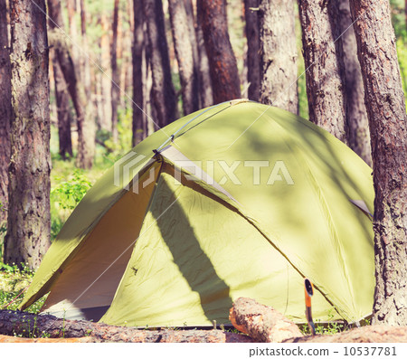 Tent in forest Tent in forest 10537781