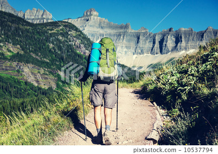 Hike in Glacier 10537794