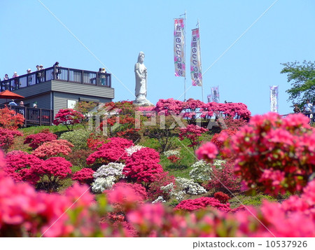 Kasama Spiral Festival 10537926