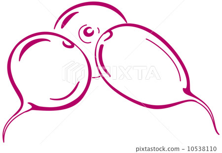 Red radish, pictogram Red radish, pictogram 10538110