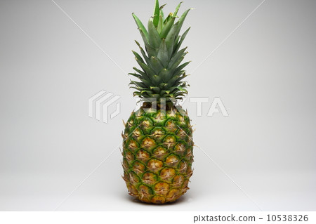 菠蘿 10538326