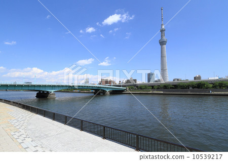 語言橋樑和天空樹 語言橋樑和天空樹 10539217