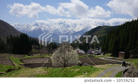 Hakuba Aoyuki Settlement and Rice Terrace Spring 10539252