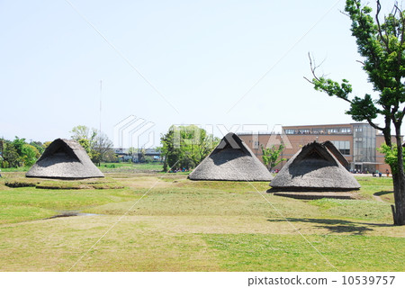 Teru ruins park (Suruga Ward, Shizuoka city) 10539757