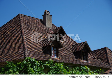 Roof of Midi-Pyrénées region, France 10539893