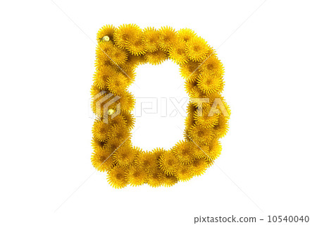 Yellow dandelion letter D, isolated on white 10540040