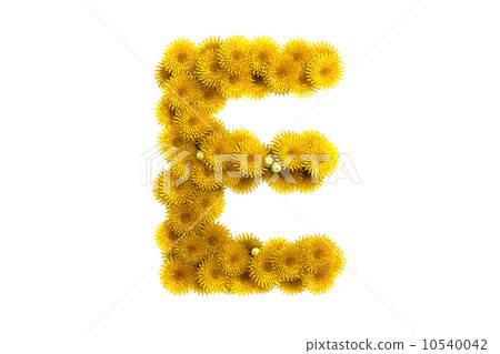 Yellow dandelion letter E, isolated on white 10540042