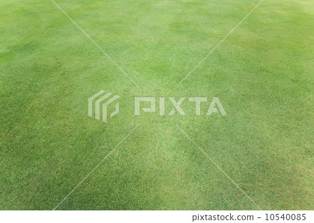 Golf course lawn 10540085