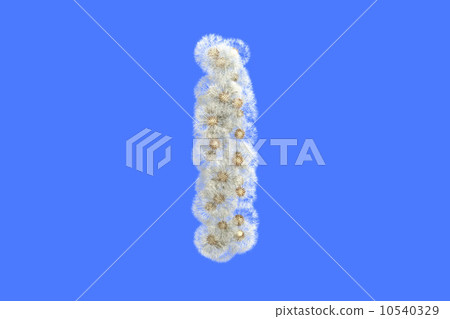 Dandelion letter I with seeds on blue background 10540329
