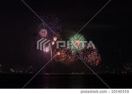 Lake Biwa Large Fireworks Festival 10540359