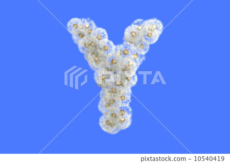 Dandelion letter Y with seeds on blue background 10540419