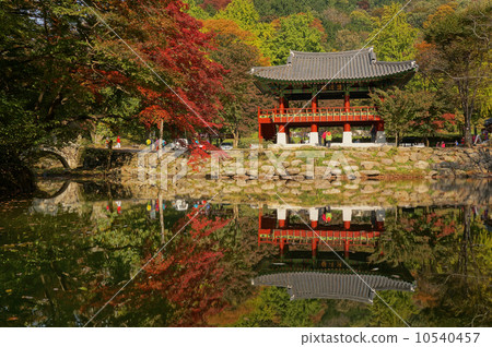 Baegyangsa Temple 10540457