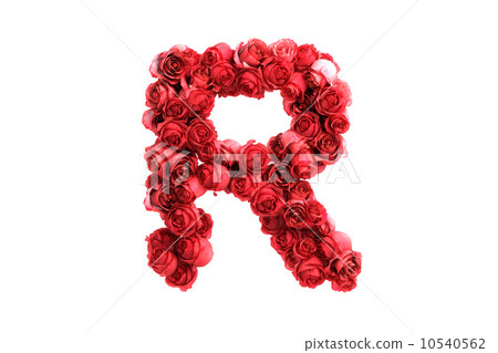 Red roses letter R, isolated on white background - Stock Illustration ...