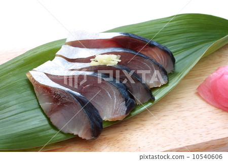 Shime mackerel Kazusi Japanese food mackerel white background 10540606