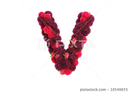 Aster flowers letter V, isolated on white Aster flowers letter V, isolated on white 10540655