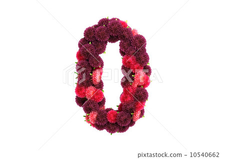 Aster flowers symbol 0, isolated on white 10540662