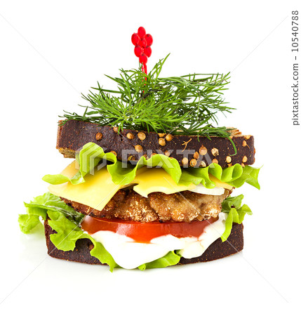 sandwich isolated 10540788