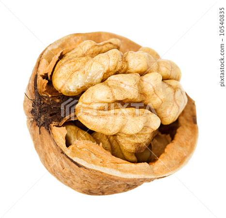 walnut half isolated on the white background walnut half isolated on the white background 10540835