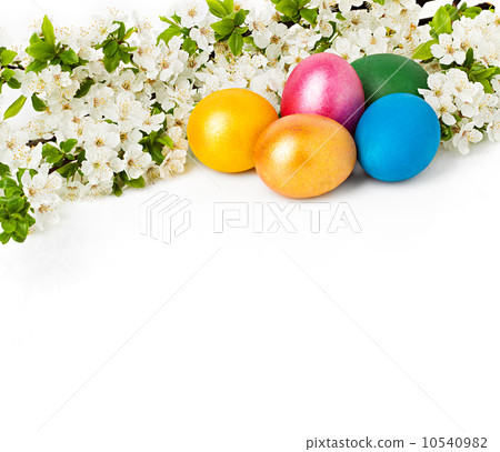Easter background with eggs and spring flowers, text space 10540982