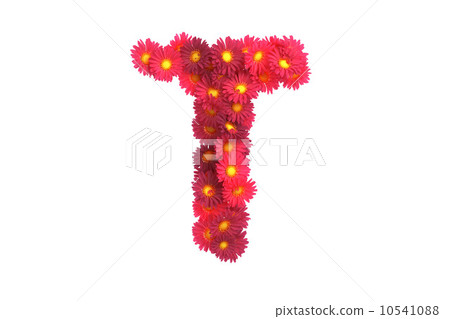 Red flower letter T isolated on white backround Red flower letter T isolated on white backround 10541088