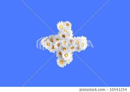 Camomile flower symbol Camomile flower symbol 10541254