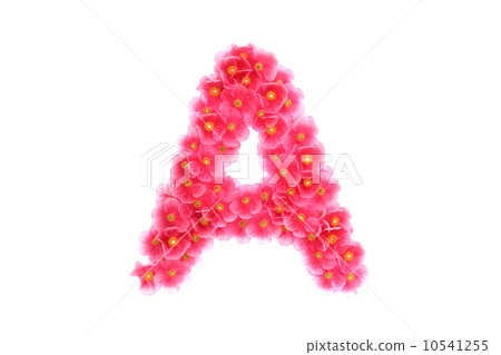 Pink violets letter A Pink violets letter A 10541255