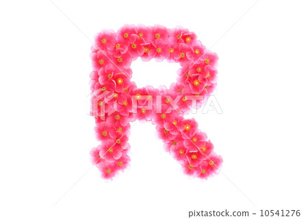 Pink violets letter R Pink violets letter R 10541276
