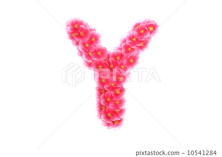 Pink violets letter Y Pink violets letter Y 10541284