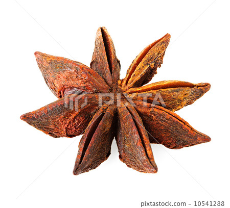 a single star anise isolated on white 10541288