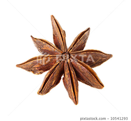 a single star anise isolated on white 10541293