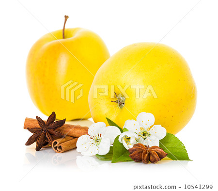 Ripe yellow apple with cinnamon sticks, anise star and apple flowers Ripe yellow apple with cinnamon sticks, anise star and apple flowers 10541299