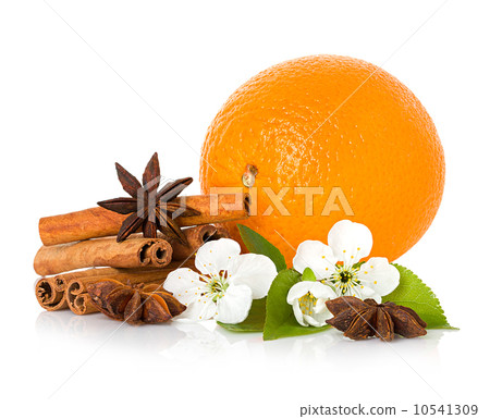 stick cinnamon, anise star, branch flowers and orange fruit isolated 10541309