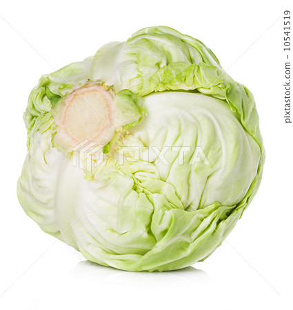 cabbage isolated cabbage isolated 10541519