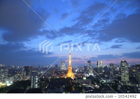 東京夜景 10542492