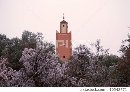 Kasba Highway 10542771