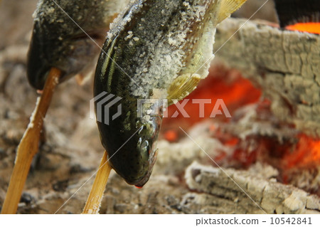 虹鱒木炭燒烤 10542841