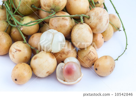 Burmese grape 10542846