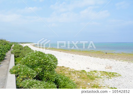 Beautiful scenery of Ishigakijima Shiraho 10542852