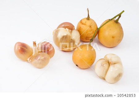 Burmese grape 10542853