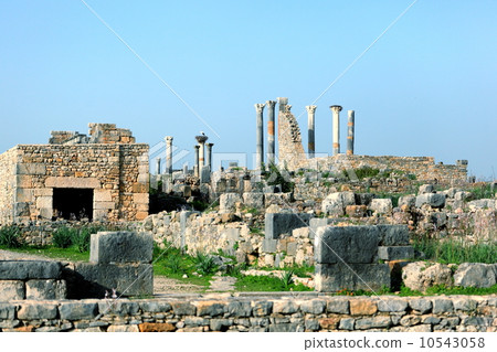 Volubilis Volubilis 10543058
