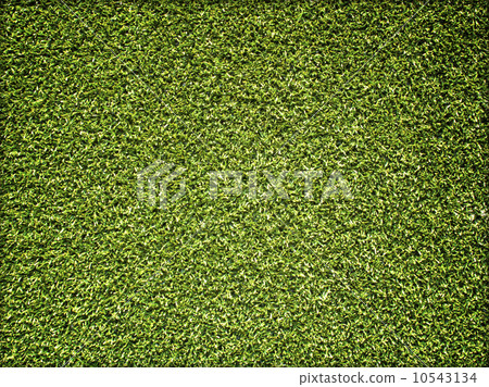 Beautiful green grass texture Beautiful green grass texture 10543134