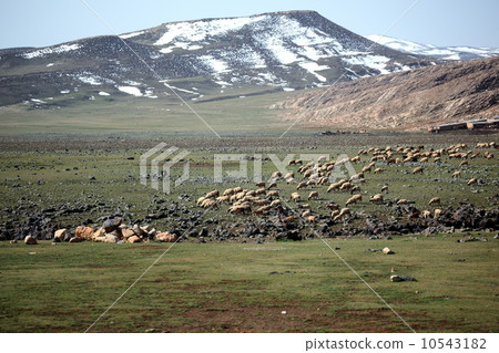 Atlas Mountains 10543182