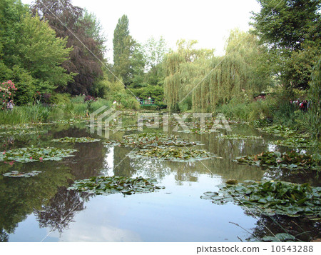 Garden of Monet's garden Giverny Garden of Monet's garden Giverny 10543288