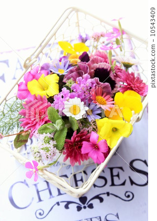 Flower basket 10543409