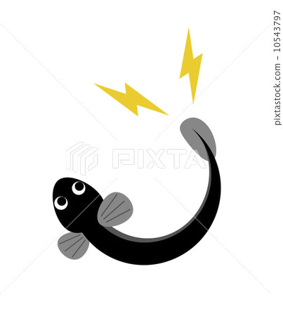 Eel eel 10543797