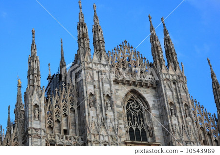 Milan Milan 10543989