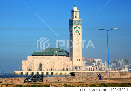 卡薩布蘭卡 10543994