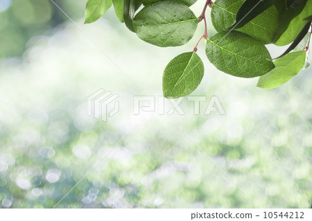 abstract summer background 10544212